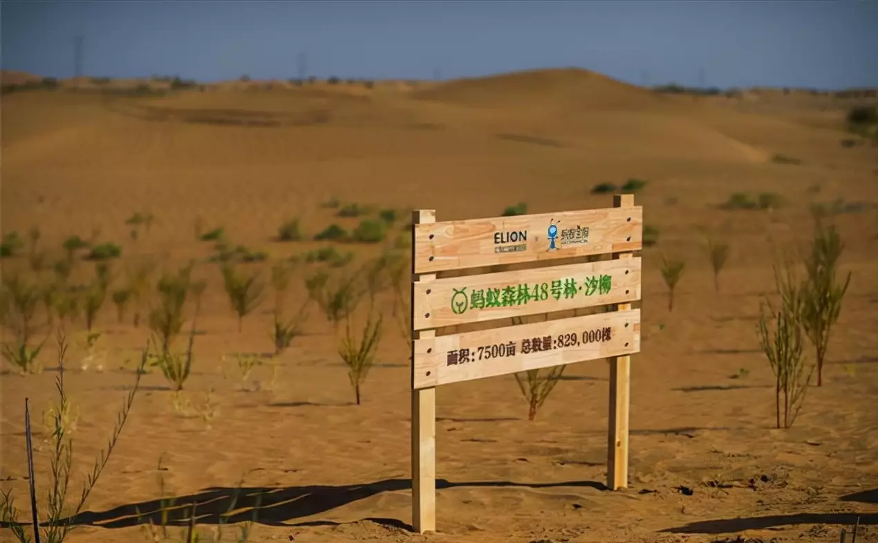 发好人卡是什么意思_发好人卡的人心里是怎么想的_发好人卡意味着什么