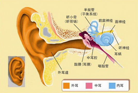 idtaudio_audio_audio是什么