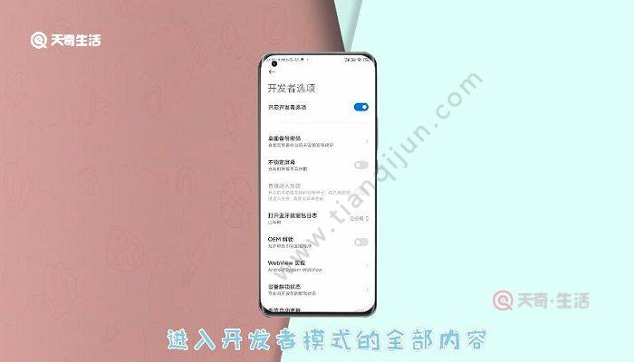 小米10开发者选项在哪_小米开发者选项模式_小米开发选项在哪里打开