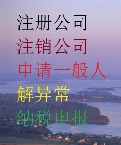 收入实际纳税明细样本表_收入纳税明细跟实际收入不一样_收入实际纳税明细样本图片