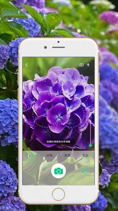 植物识别神器app下载_免费下载植物识别神器_植物识别神器软件下载