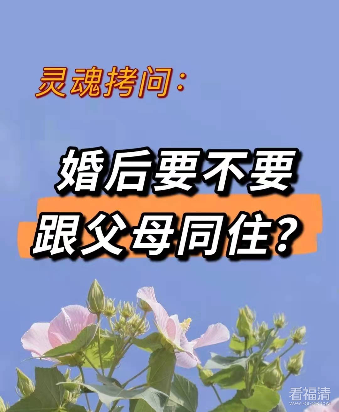 soul密友是什么意思_soul什么叫密友_soul上的密友什么意思