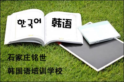 探索语言之美：中文转换韩文的神奇技能让我更亲近韩国文化