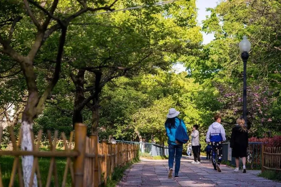 视频青青草下载软件免费_青青草视频软件下载_视频青青草下载软件安装