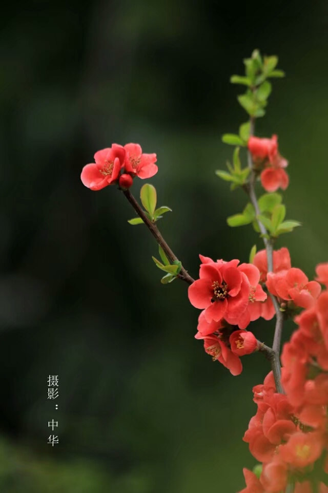 花开春暖评论贴吧_春暖地址花开论坛_春暖花开地址