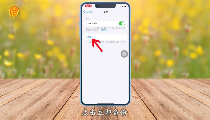 苹果手机id账号无法退出登录_苹果手机id账号无法退出登录_我的苹果账号退出登录不能点