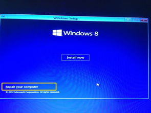 linux 删除windows系统