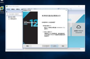 windows10装mac系统