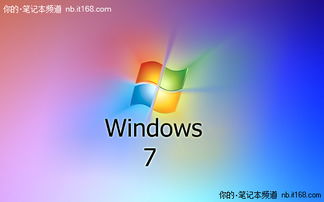 windows xp属于什么系统