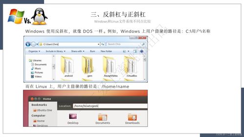 linux windows 文件系统