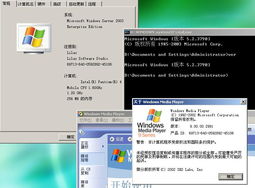 windows 2003系统